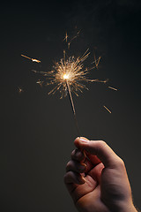 Image showing Sparkler