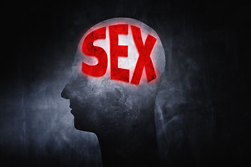 Image showing Thinking about Sex