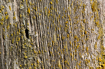 Image showing wooden plank moss board wall disruption background 