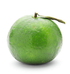 Image showing green lime citrus fruit