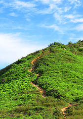 Image showing mountain path