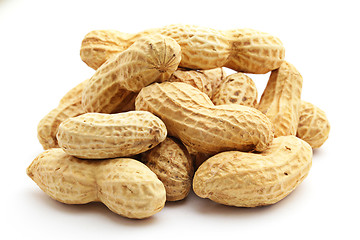 Image showing Peanut on white background