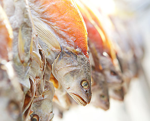 Image showing dry salt fish