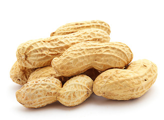 Image showing Peanut