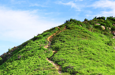 Image showing mountain path