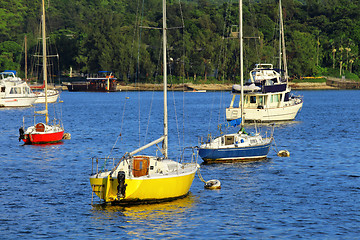 Image showing Yachts in bay