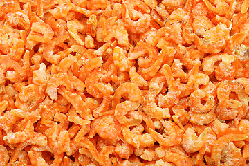 Image showing Small dry shrimp