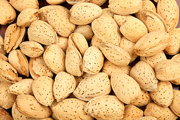 Image showing almond nut