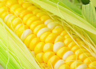 Image showing corn cob