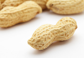 Image showing Peanut