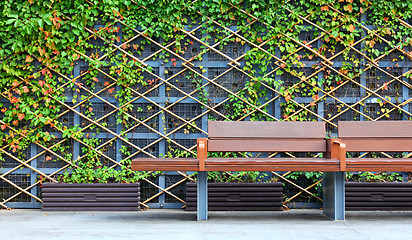 Image showing bench in front of green hedge