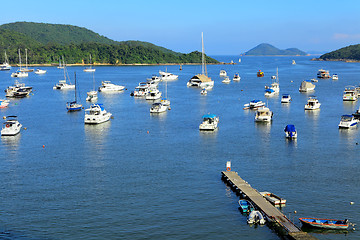 Image showing Yachts in bay