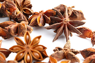 Image showing Star anise