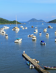 Image showing Yachts in bay