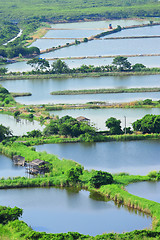 Image showing Fish hatchery pond