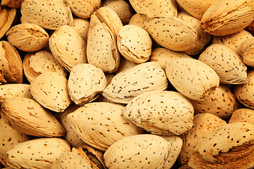 Image showing almond nut