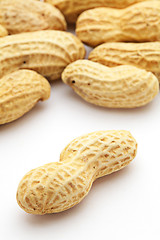 Image showing Peanut on white background