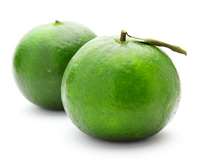 Image showing green citrus