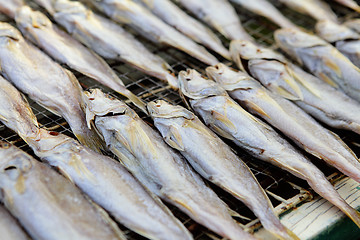 Image showing salted fishes