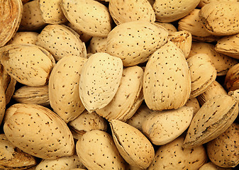 Image showing almond nut