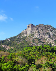 Image showing Lion Rock