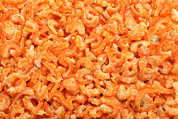 Image showing Small dry shrimp