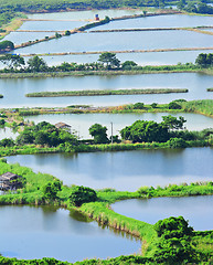 Image showing Fish hatchery pond