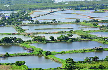 Image showing Fish hatchery pond