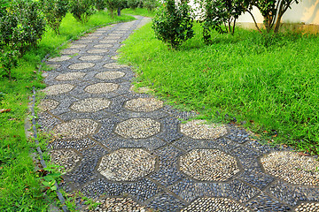 Image showing path in park