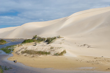 Image showing Dunes #5