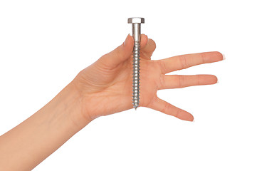 Image showing big screw