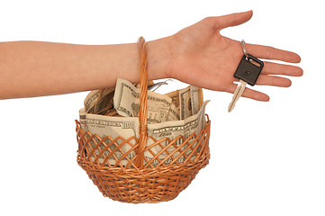 Image showing basket with money