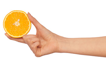 Image showing Orange