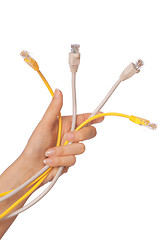 Image showing LAN cords