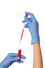 Image showing sample of bloods