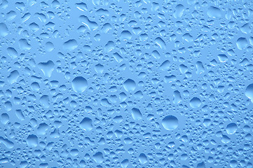 Image showing Water bubbles