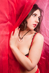 Image showing young woman in red lingerie