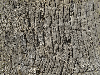 Image showing Very old weathered wood texture