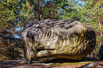 Image showing Rock in Fontainebleau Forest