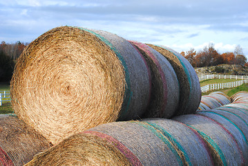 Image showing Hay balls