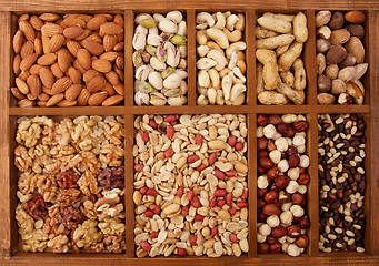 Image showing Arrangement of Nuts