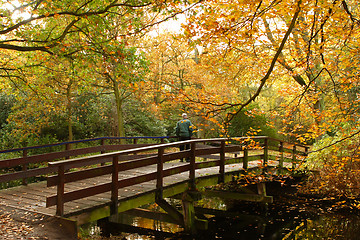 Image showing man on the bridge