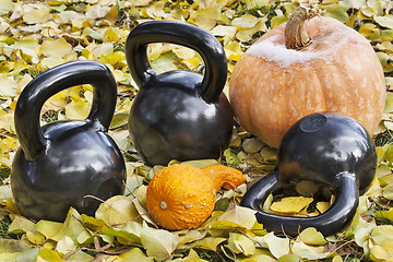 Image showing iron  kettlebells outdoors