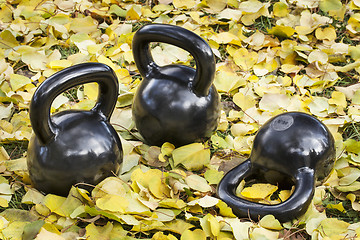 Image showing iron  kettlebells outdoors