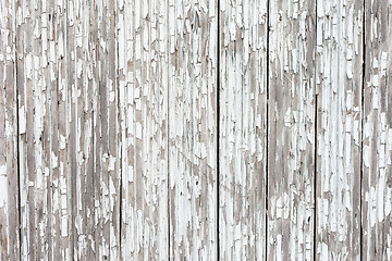 Image showing grungy white background of natural wood