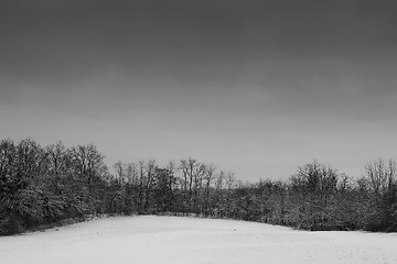 Image showing Snow Landscape #2