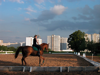 Image showing horsewoman