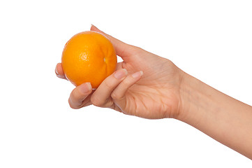 Image showing tangerine