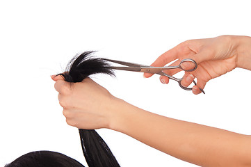 Image showing Hairdressing