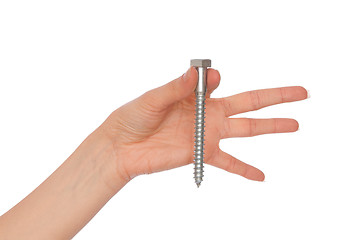 Image showing big screw